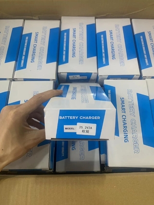 Chargeur de batterie adaptateur 25,2 V 2 A puissant et pratique pour les batteries au lithium C-Power